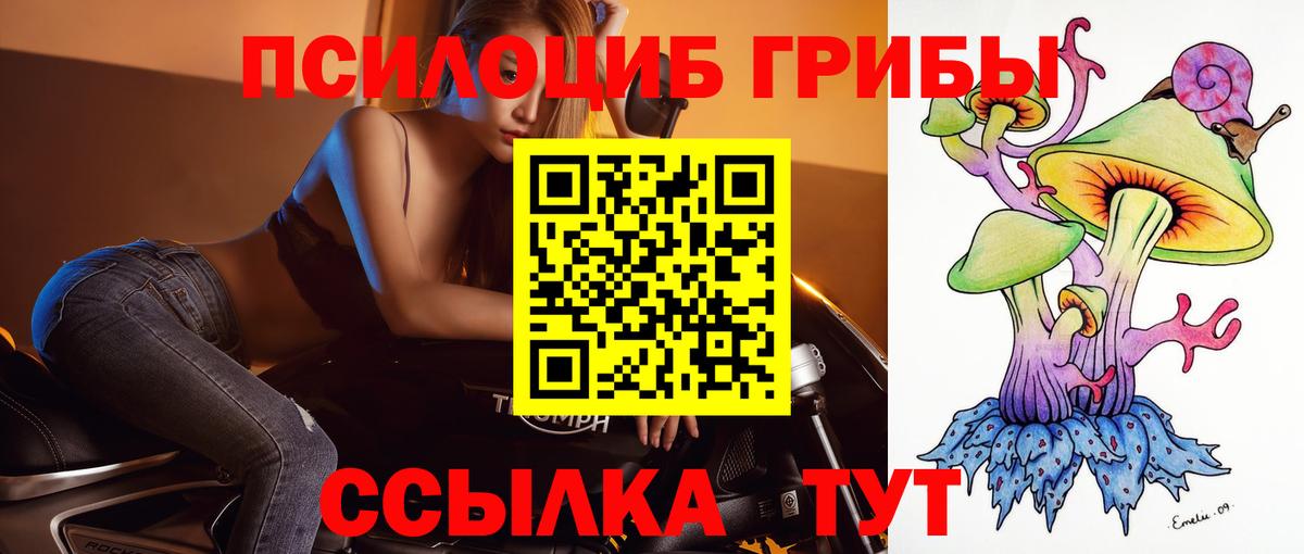 Галлюциногенные грибы Psilocybine cubensis  Галлюциногенные грибы мухоморы  Вход с VPN  Воткинск 